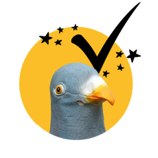 Perfil enviado correctamente